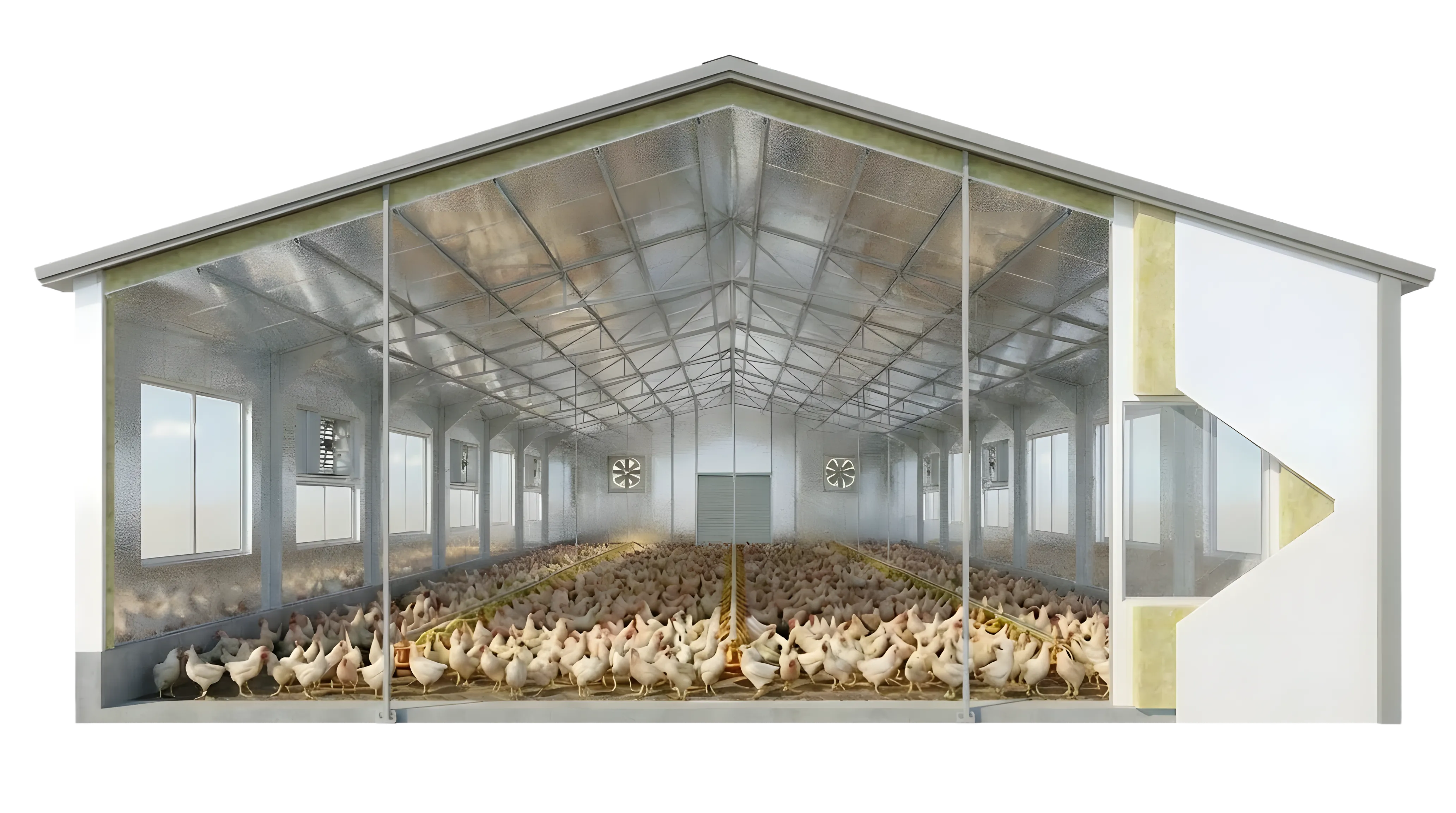 Hogs or Poultry Livestock Buildings showcased with standard foil insulation