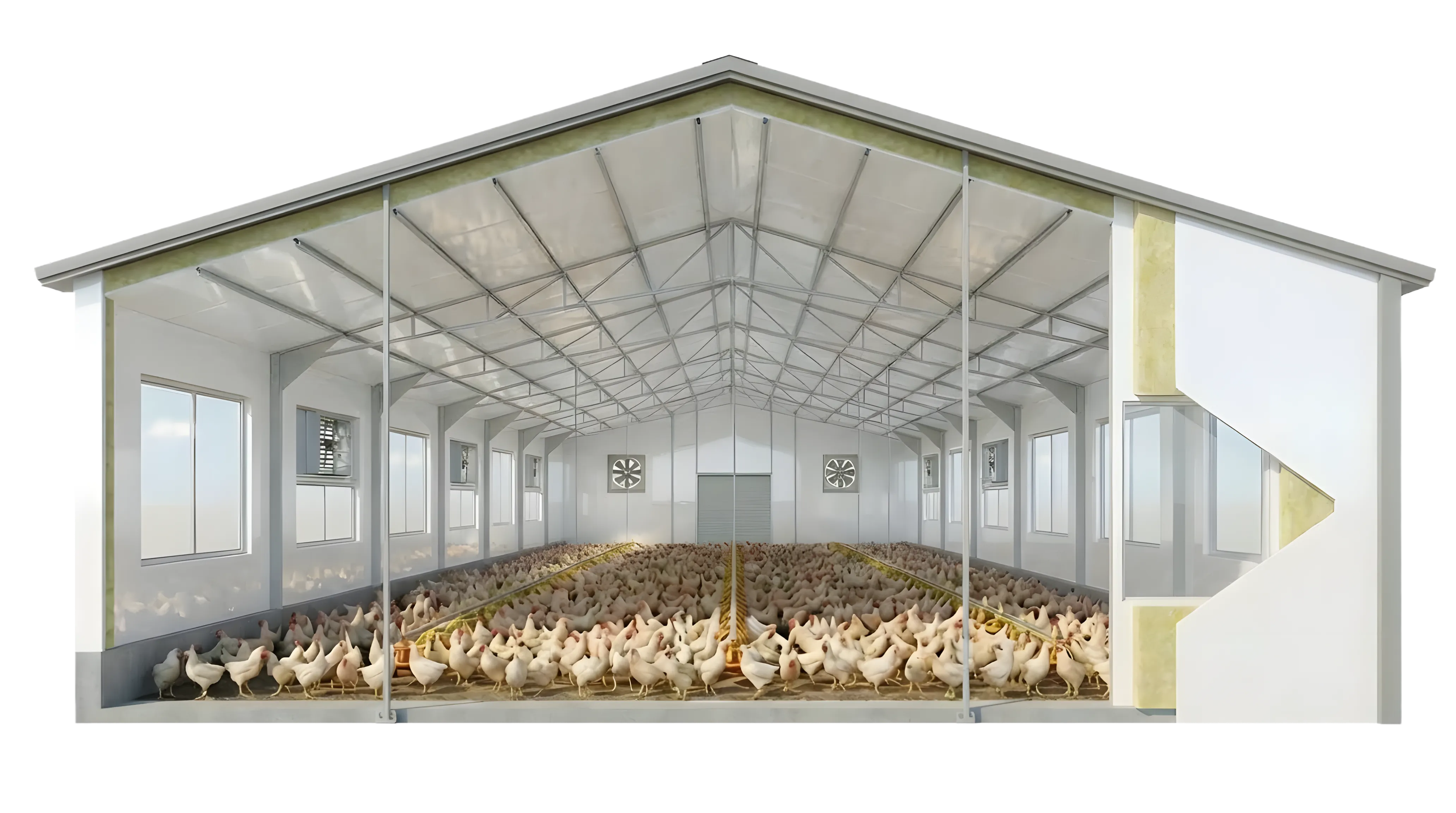 Hogs or Poultry Livestock Buildings showcased with white foil insulation